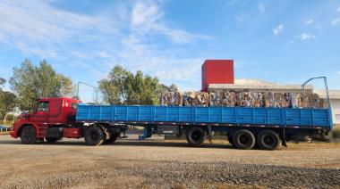 Desde el complejo ambiental municipal se informó sobre la recuperación de un nuevo camión de residuos reciclables