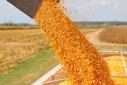 Se anunció un paro en las exportaciones de granos en rechazo a la Ley Bases