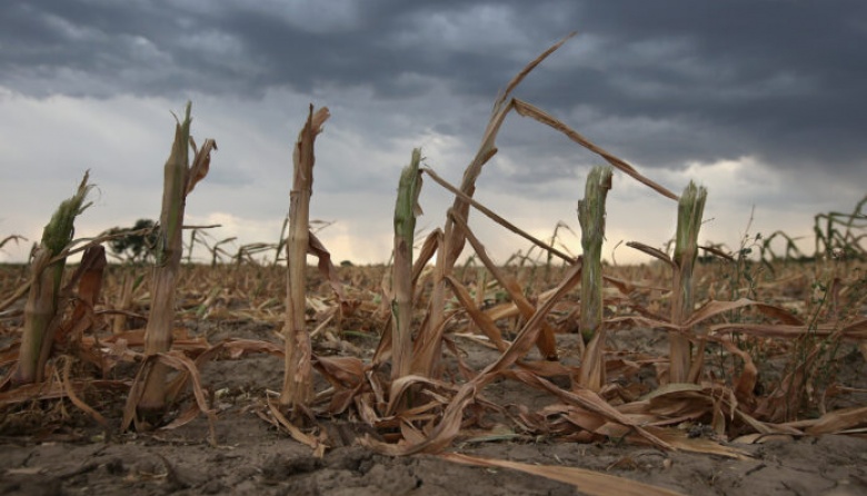 Piden incluir a más de 40 distritos afectados por la sequía en la emergencia nacional