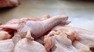Expectativa por la reapertura de las exportaciones de carne aviar a la UE y Brasil