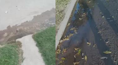 Pérdida de agua en la calle Ramos Mejía desde hace cuatro meses: vecinos y vecinas ya no saben cómo reclamar