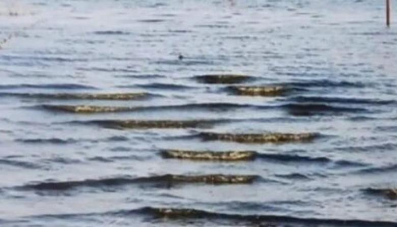 La Laguna El Hinojo chico está en alerta por cianobacterias: sugerencias preventivas para pescadores y turistas