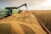 El 2025 arranca con reclamos del agro por las retenciones